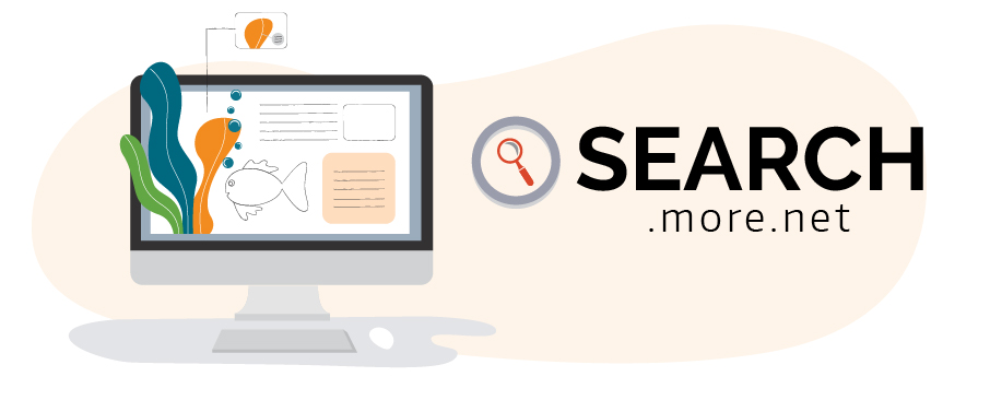 search.more.net/Online Resources banner